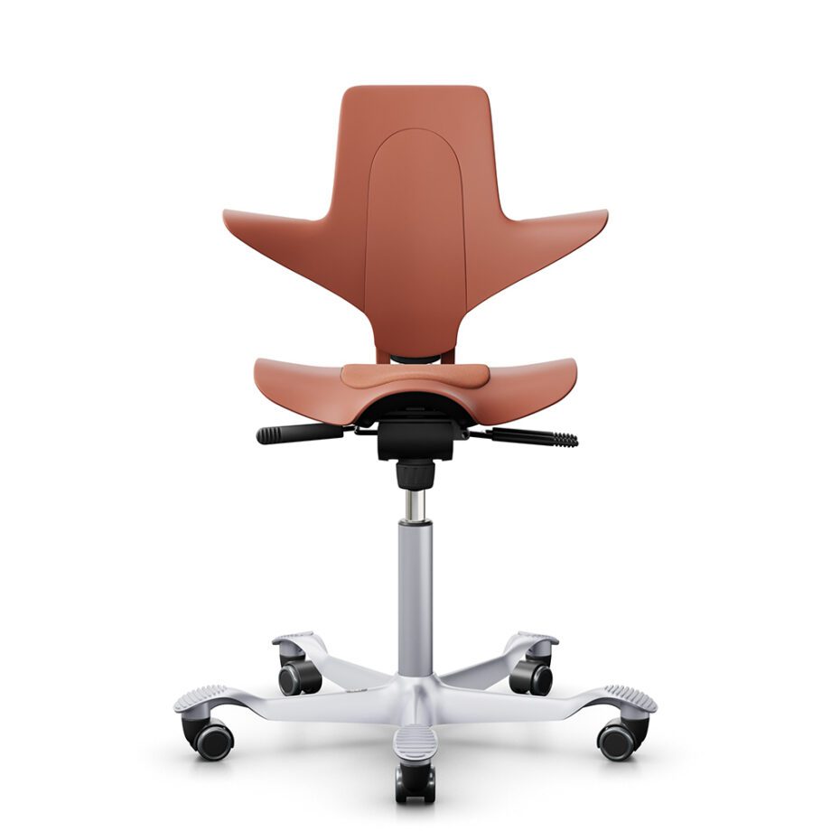 sedia ergonomica per mal di schiena