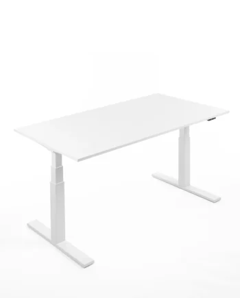 Ergo Desk